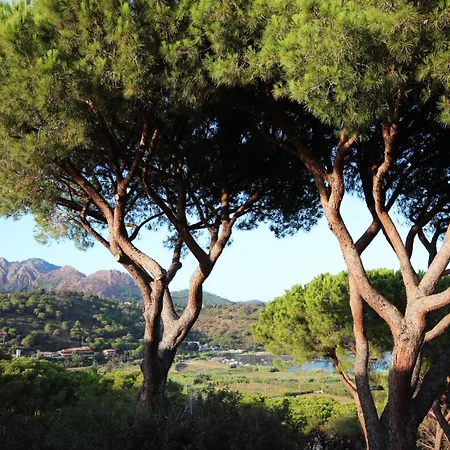 Lägenhet Il Mandorlo Capoliveri (Isola d'Elba)