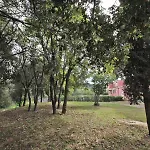 Il Mandorlo 卡波利韦里