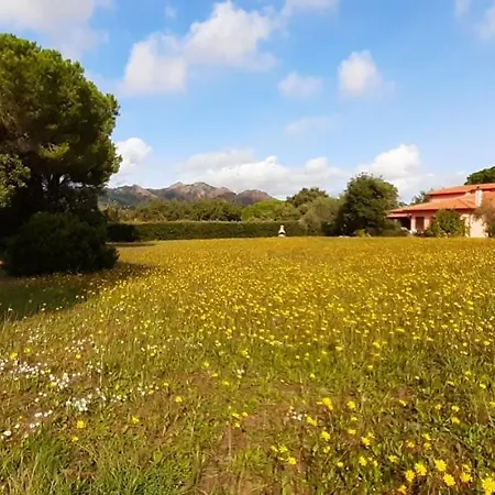 아파트 Il Mandorlo *