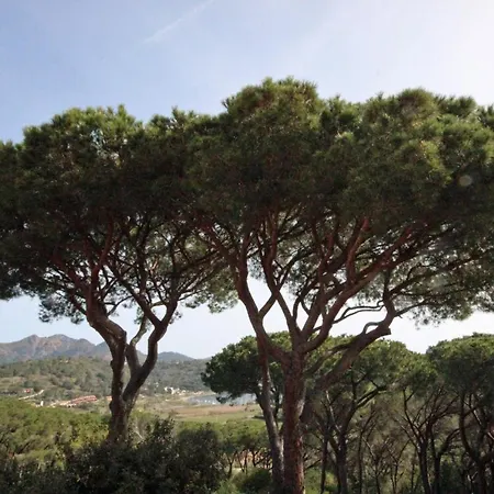 아파트 Il Mandorlo