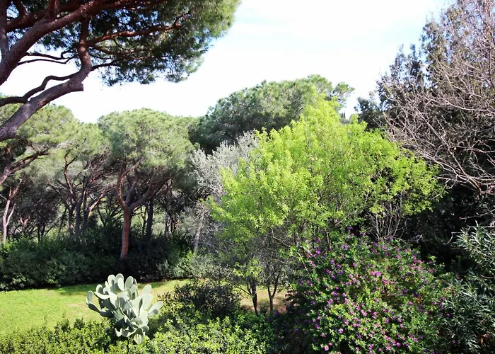 Il Mandorlo Capoliveri (Isola d'Elba)