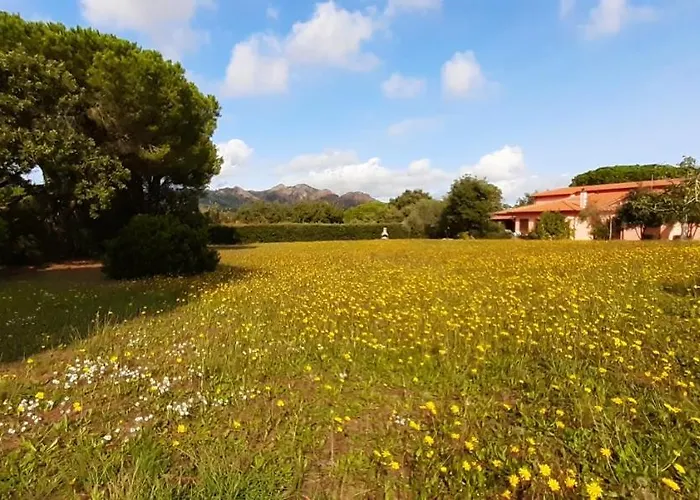 Appartement Il Mandorlo *