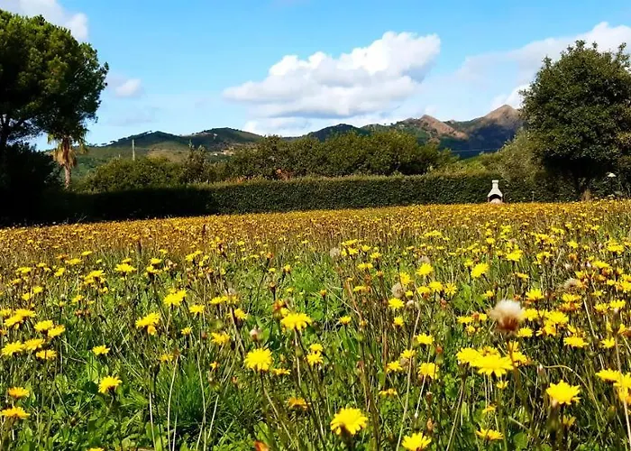 Il Mandorlo Appartement *