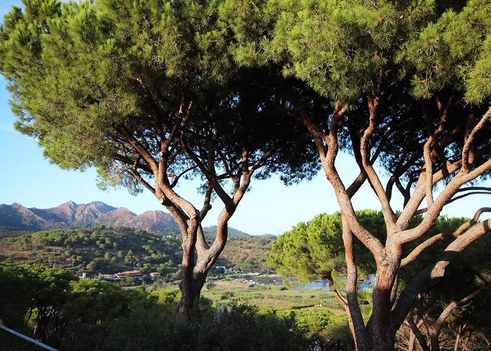 Appartement Il Mandorlo Capoliveri (Isola d'Elba)