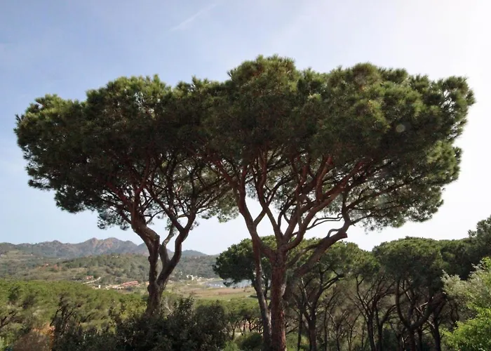 Apartment Il Mandorlo